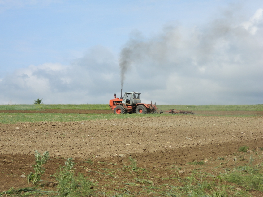 Пять хозяйств Забайкалья получили субсидии на проведение полевых работ